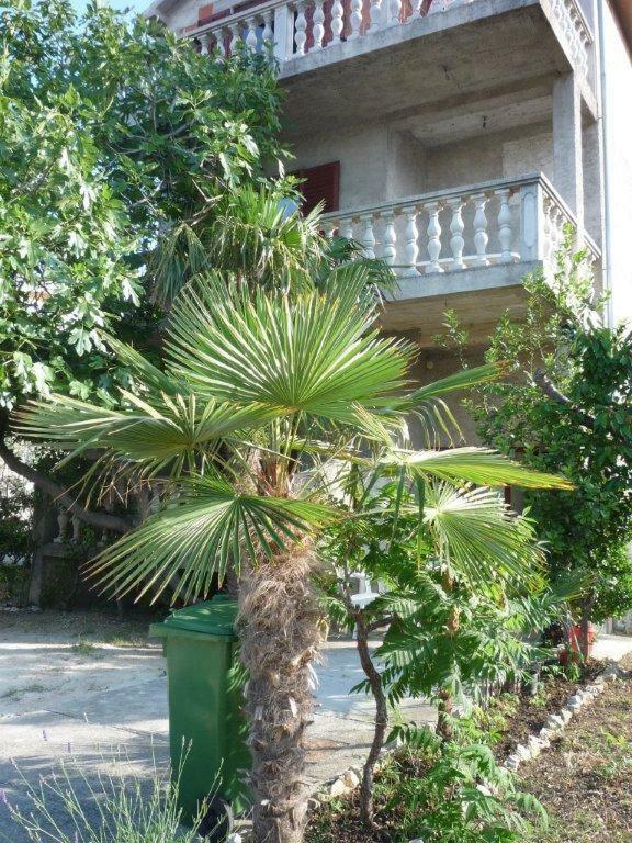 Apartman Ane
